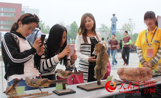 动植物标本展台前，大学生们驻足观展